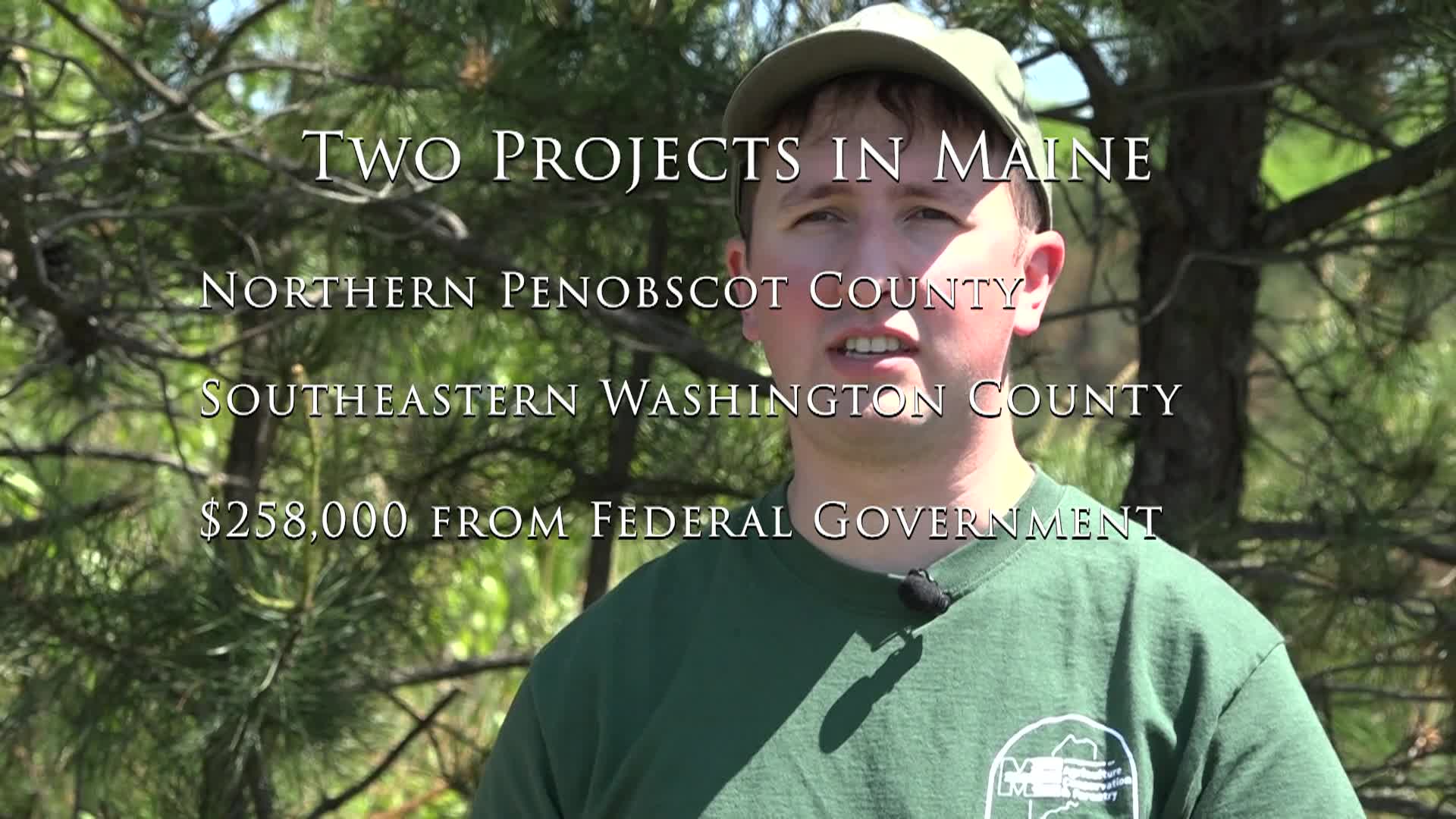 A Prescribed Burn Ep4 Protection from Wildfires